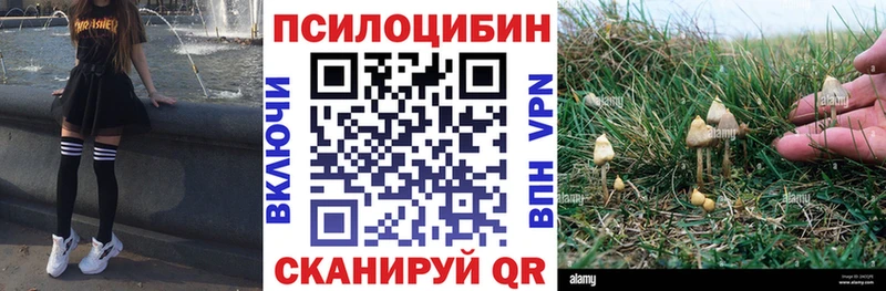 Галлюциногенные грибы ЛСД  Купить  Фокино 